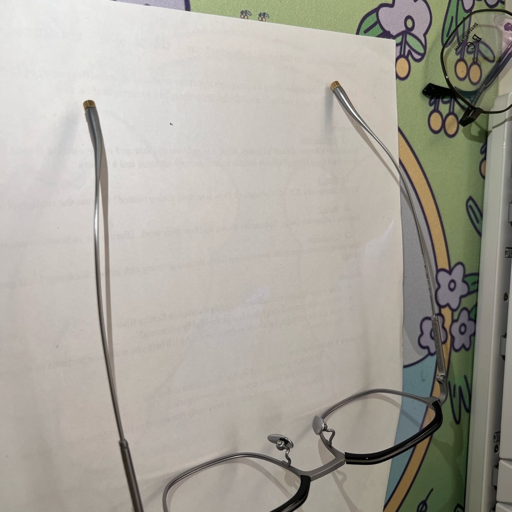 Titanium optical frame - Picture 6 of 7